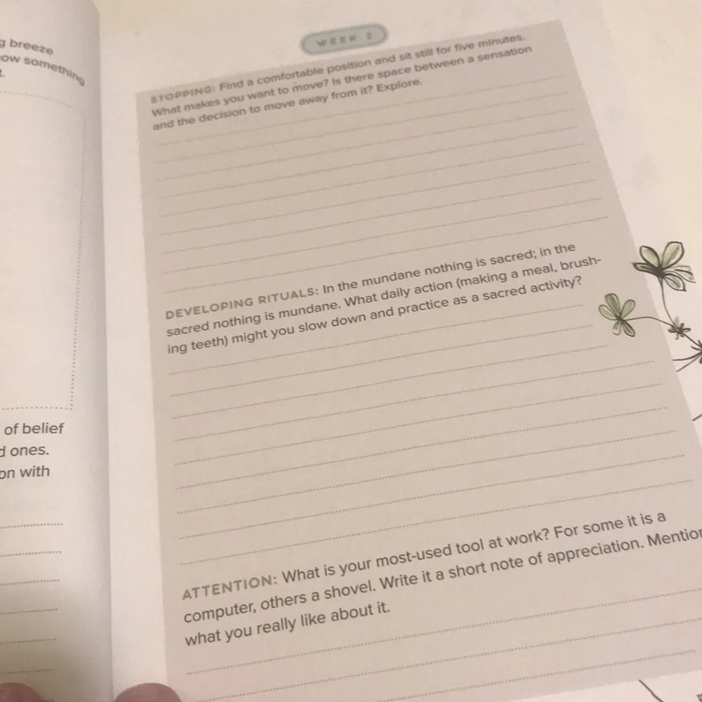 A Year of Zen Guided Journal - Light Gray Cover
